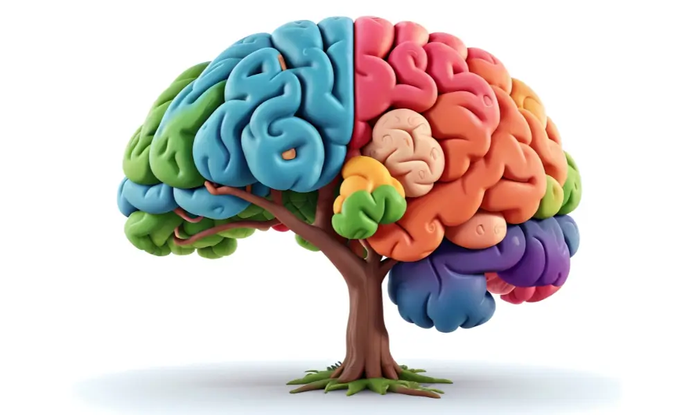 A psicologia do dinheiro e como o cérebro toma decisões financeiras.