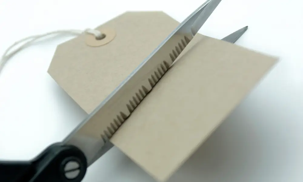 Cortando gastos supérfluos e investindo a economia para o futuro.